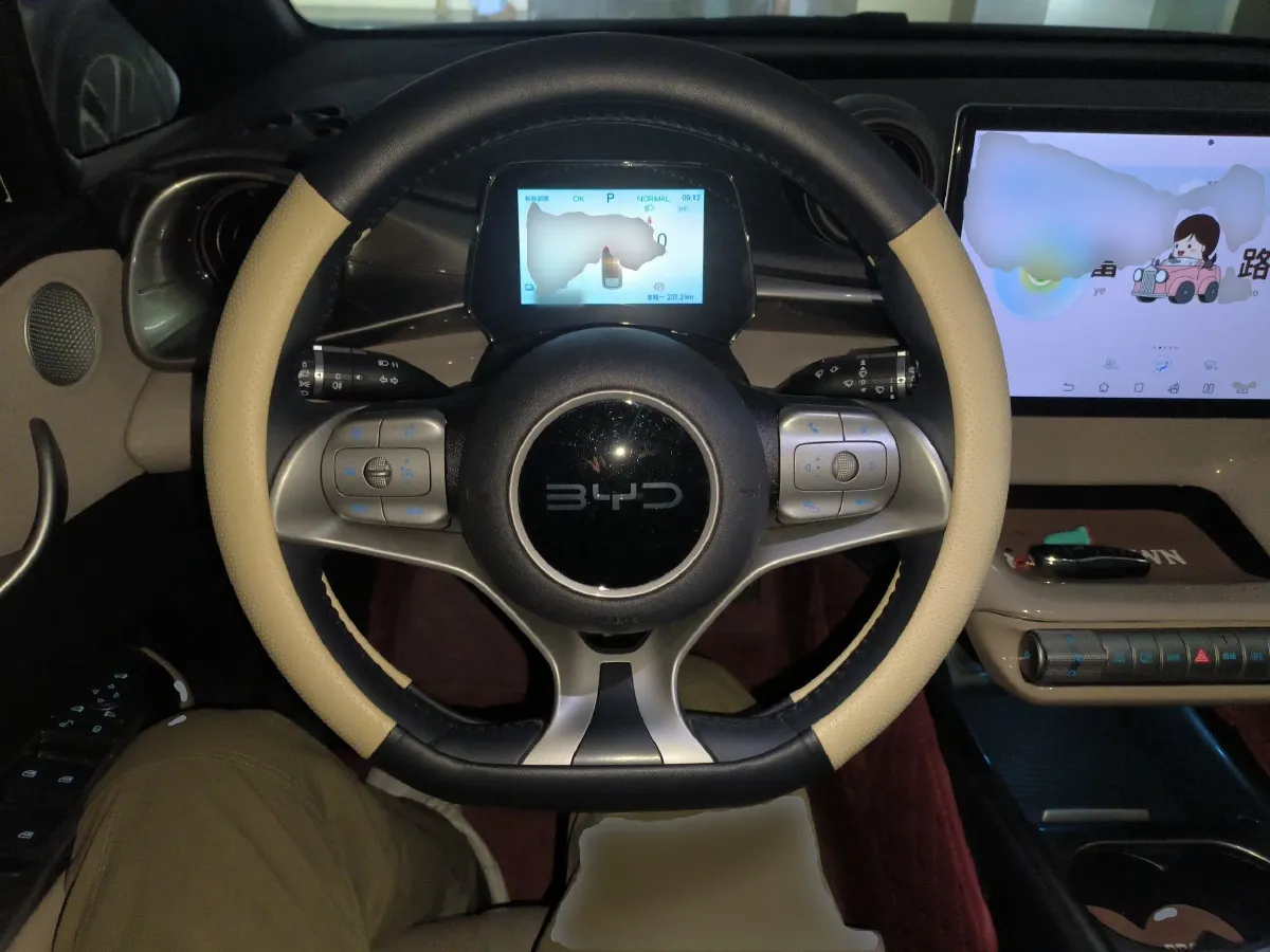 2025 BYD Dolphin BEV 44.928KWH,autocango,china used car exporter,china ev exporter,chinese used car exporter,chinese used ev exporter