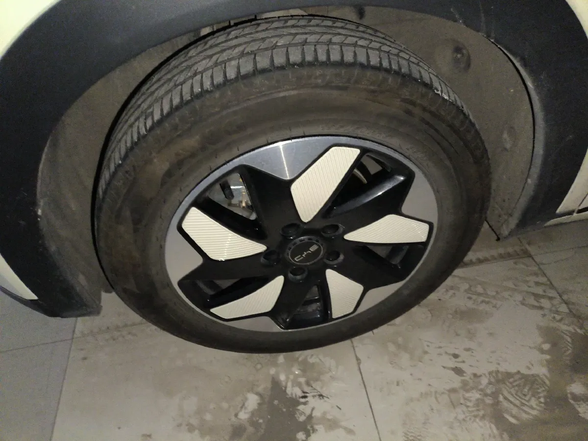 2025 BYD Dolphin BEV 44.928KWH,autocango,china used car exporter,china ev exporter,chinese used car exporter,chinese used ev exporter