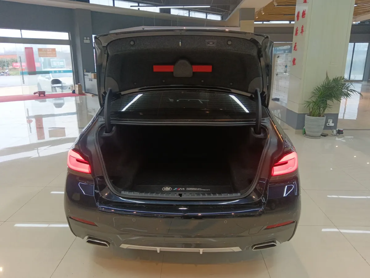 2022 BMW 5 Series 2.0T 184HP L4 8AT,autocango,china used car exporter,china ev exporter,chinese used car exporter,chinese used ev exporter