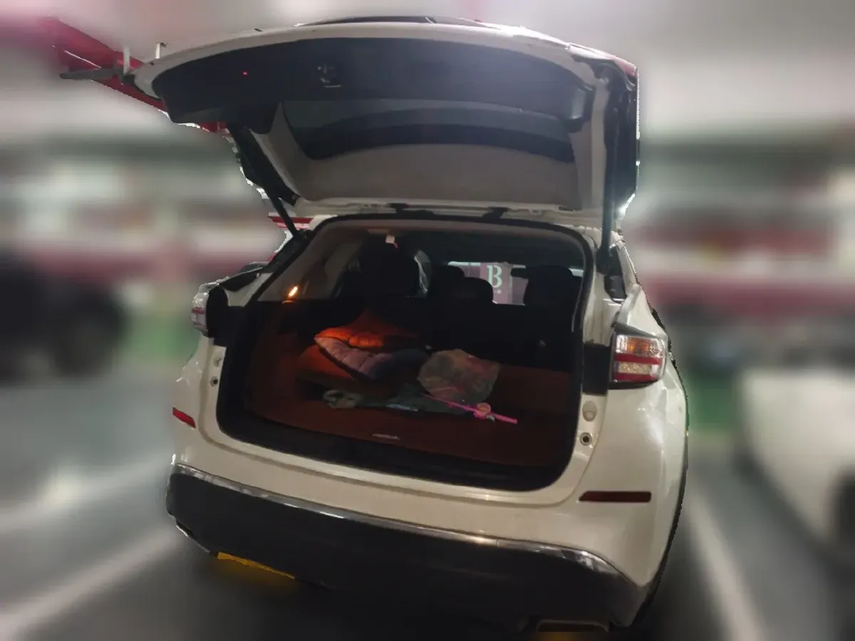 2019 Nissan Murano 2.5L 186HP L4 CVT,autocango,china used car exporter,china ev exporter,chinese used car exporter,chinese used ev exporter