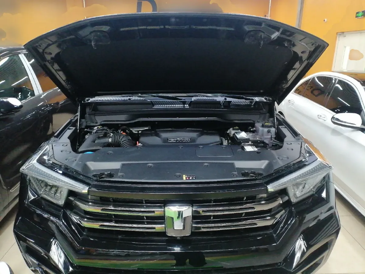 2024 Tank 400 2.0T 252HP L4 9AT PHEV 36.7/37.1KWH,autocango,china used car exporter,china ev exporter,chinese used car exporter,chinese used ev exporter