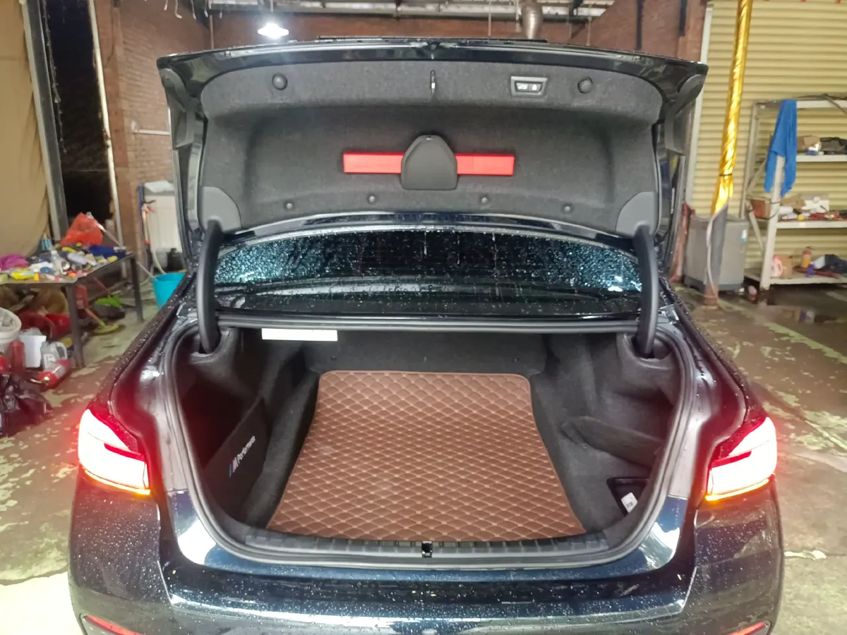 2021 BMW 5 Series 2.0T 252HP L4 8AT,autocango,china used car exporter,china ev exporter,chinese used car exporter,chinese used ev exporter