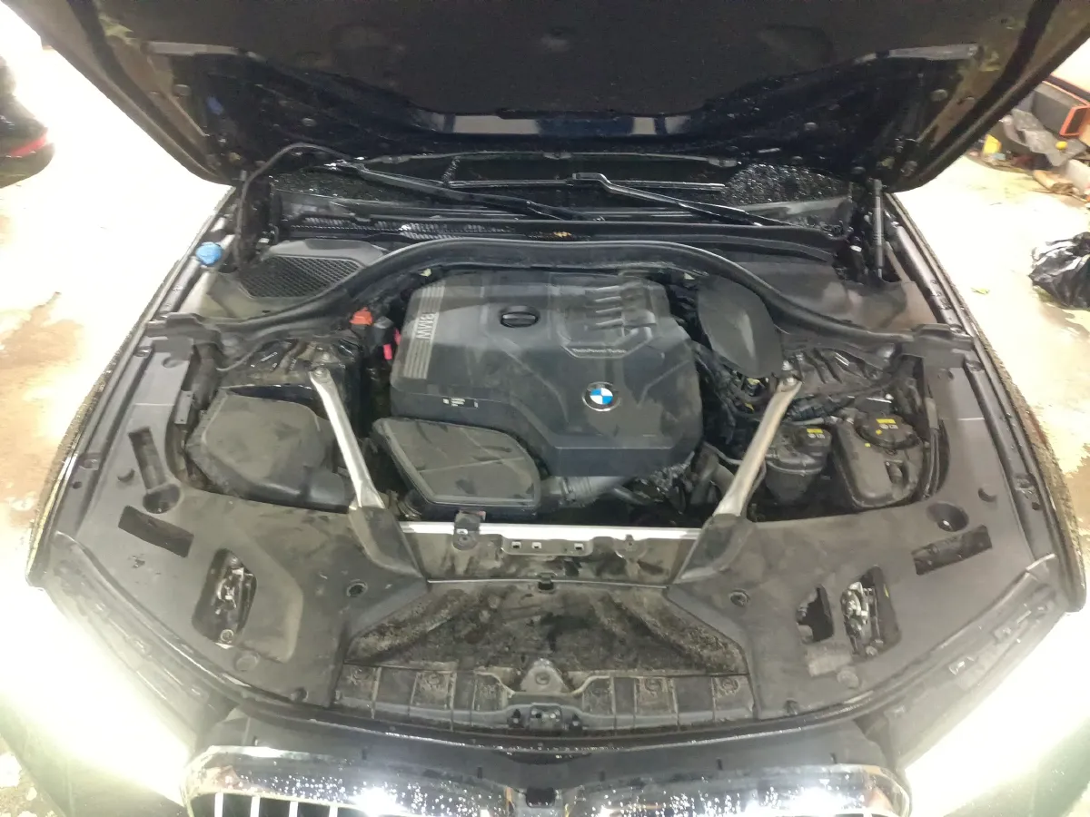 2021 BMW 5 Series 2.0T 252HP L4 8AT,autocango,china used car exporter,china ev exporter,chinese used car exporter,chinese used ev exporter