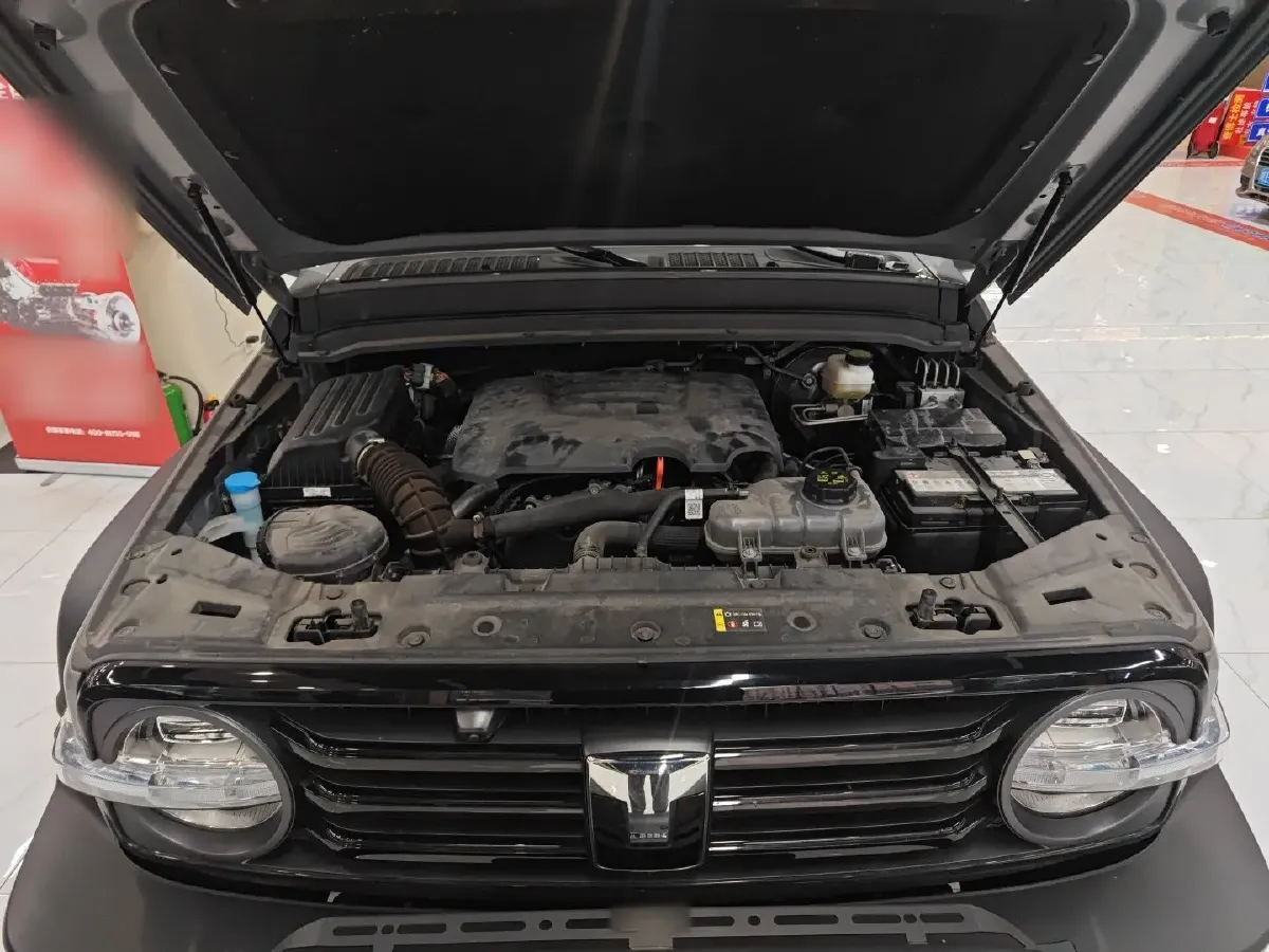 2024 Tank 300 2.0T 227HP L4 8AT,autocango,china used car exporter,china ev exporter,chinese used car exporter,chinese used ev exporter