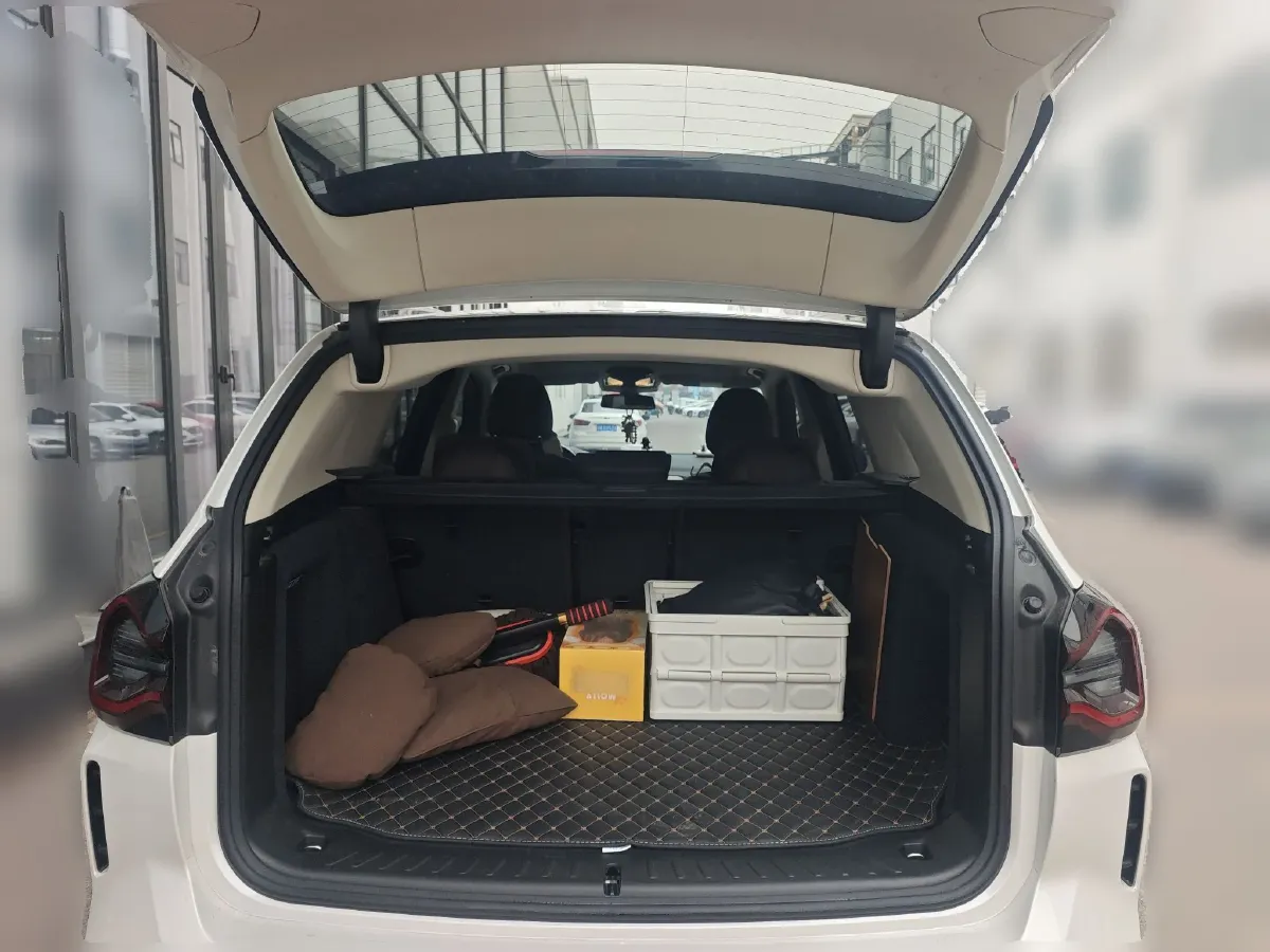 2023 BMW X3 2.0T 245HP L4 8AT,autocango,china used car exporter,china ev exporter,chinese used car exporter,chinese used ev exporter