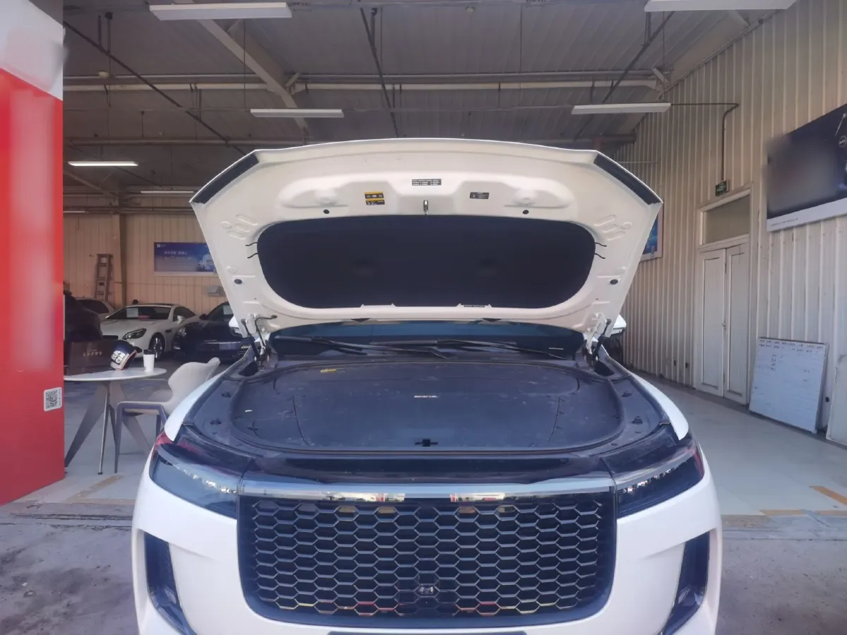 2021 Li ONE Range Extended 131HP REEV 40.5KWH,autocango,china used car exporter,china ev exporter,chinese used car exporter,chinese used ev exporter