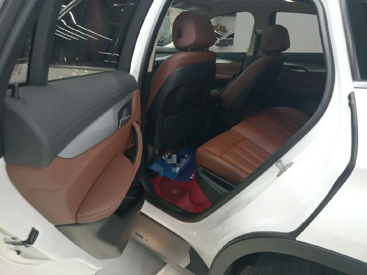 2017 BMW X6 3.0T 306HP L6 8AT,autocango,china used car exporter,china ev exporter,chinese used car exporter,chinese used ev exporter