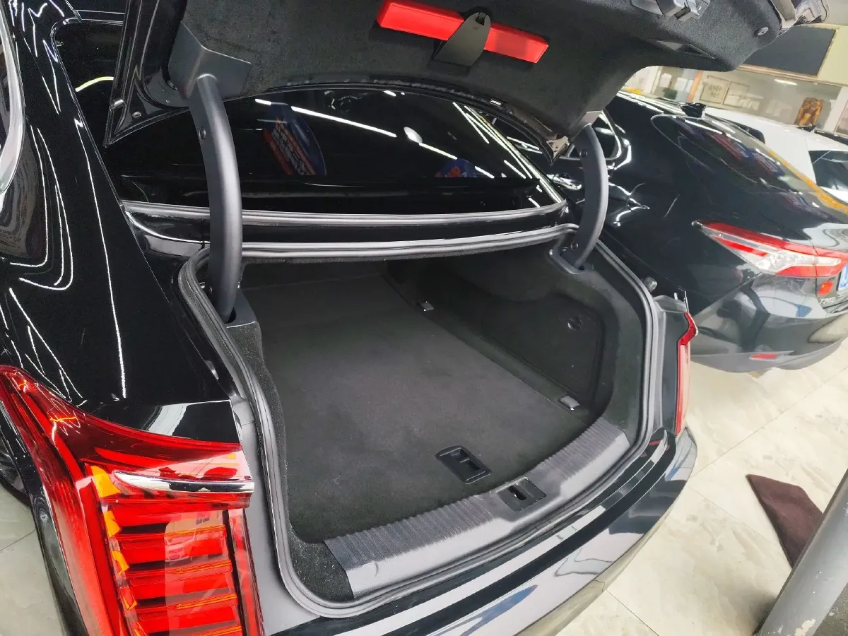 2020 HongQi H9 2.0T 252HP L4 7DCT,autocango,china used car exporter,china ev exporter,chinese used car exporter,chinese used ev exporter