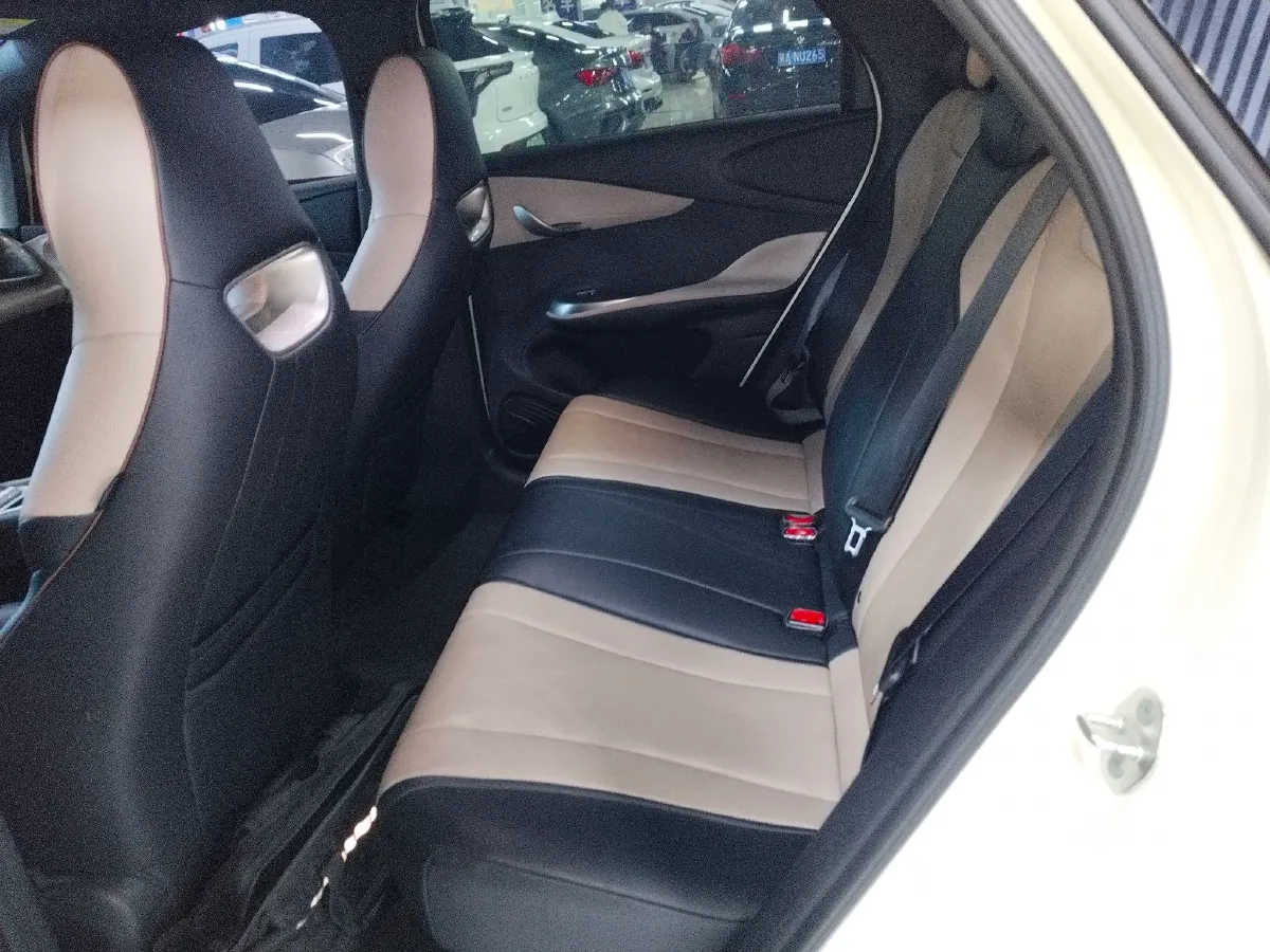 2025 BYD Dolphin BEV 44.928KWH,autocango,china used car exporter,china ev exporter,chinese used car exporter,chinese used ev exporter