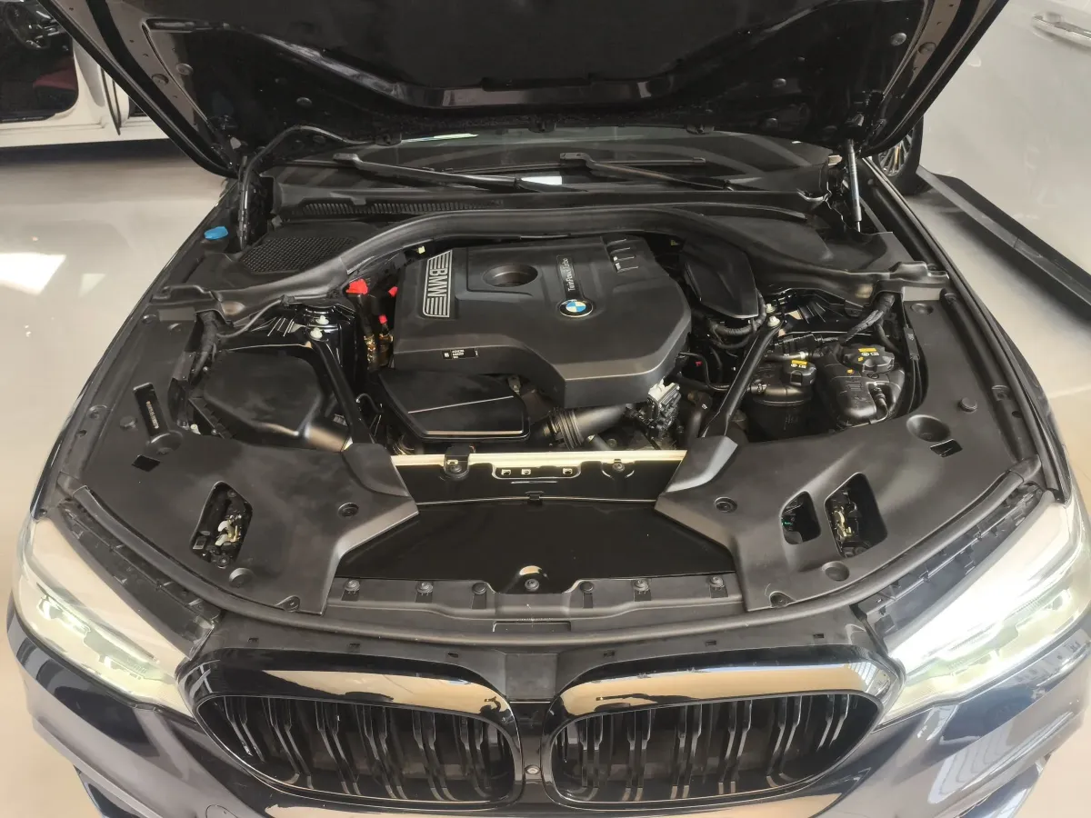 2018 BMW 5 Series 2.0T 252HP L4 8AT,autocango,china used car exporter,china ev exporter,chinese used car exporter,chinese used ev exporter