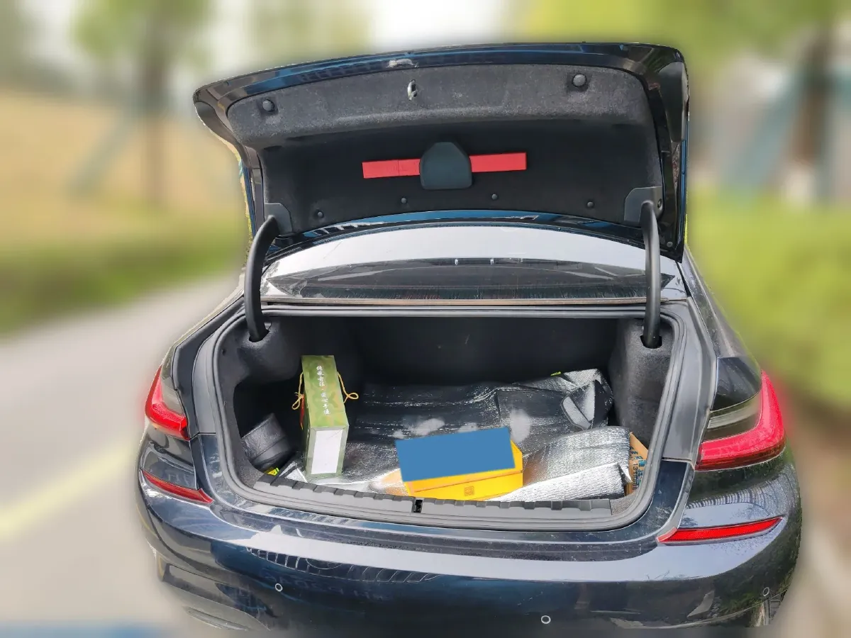 2020 BMW 3 Series 2.0T 184HP L4 8AT,autocango,china used car exporter,china ev exporter,chinese used car exporter,chinese used ev exporter