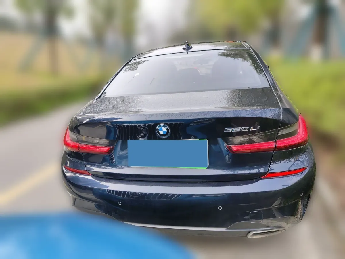 2020 BMW 3 Series 2.0T 184HP L4 8AT,autocango,china used car exporter,china ev exporter,chinese used car exporter,chinese used ev exporter