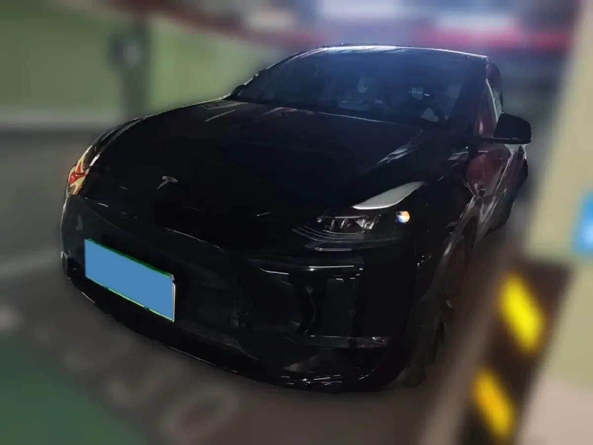 2021 Tesla Model Y BEV 76.8KWH,autocango,china used car exporter,china ev exporter,chinese used car exporter,chinese used ev exporter