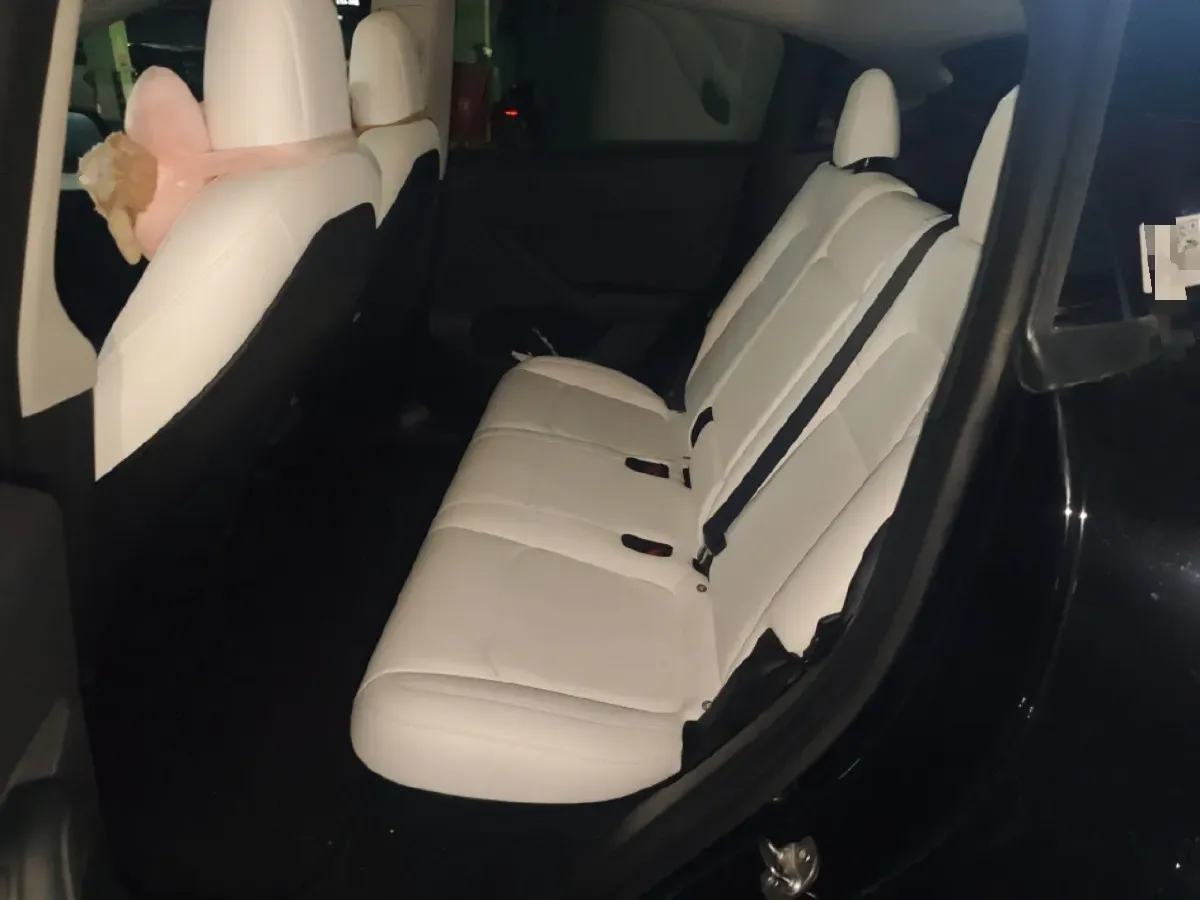 2021 Tesla Model Y BEV 76.8KWH,autocango,china used car exporter,china ev exporter,chinese used car exporter,chinese used ev exporter