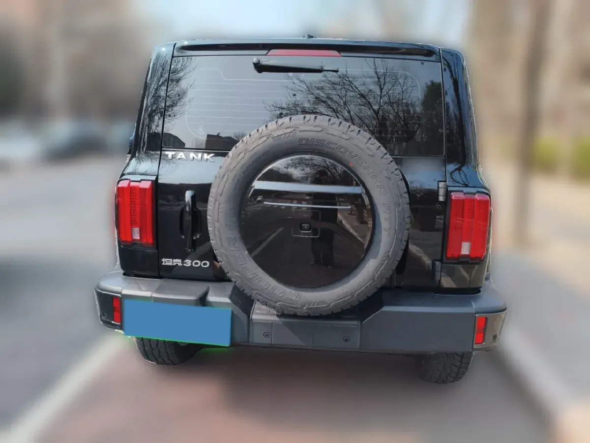 2023 Tank 300 2.0T 227HP L4 8AT,autocango,china used car exporter,china ev exporter,chinese used car exporter,chinese used ev exporter