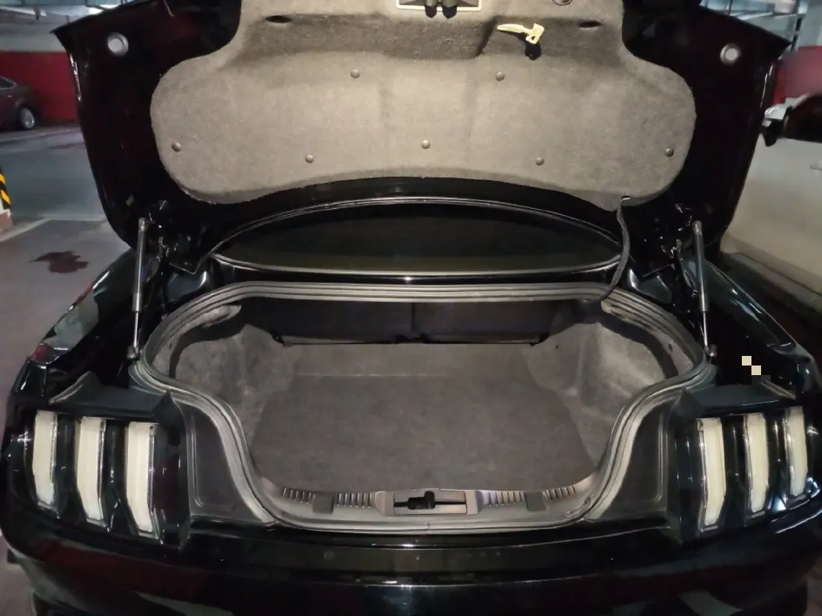 2021 Ford Mustang 2.3T 299HP L4 10AT,autocango,china used car exporter,china ev exporter,chinese used car exporter,chinese used ev exporter