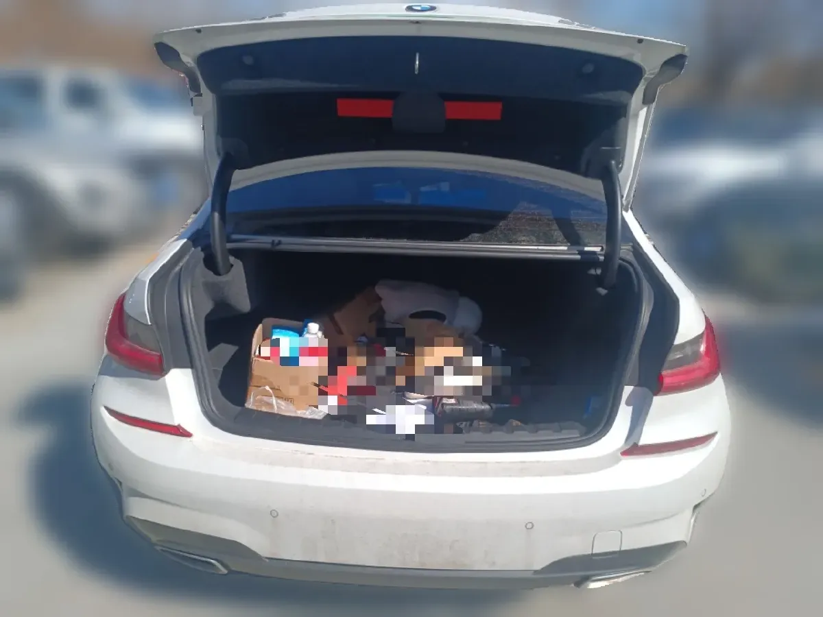 2020 BMW 3 Series 2.0T 184HP L4 8AT,autocango,china used car exporter,china ev exporter,chinese used car exporter,chinese used ev exporter