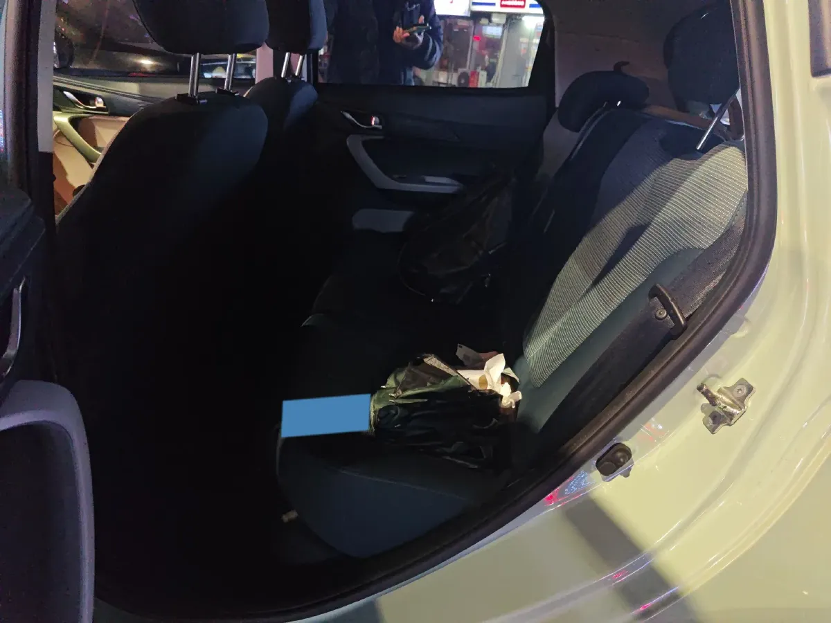 2020 ChangAn BenBen E-Star BEV 31.18KWH,autocango,china used car exporter,china ev exporter,chinese used car exporter,chinese used ev exporter