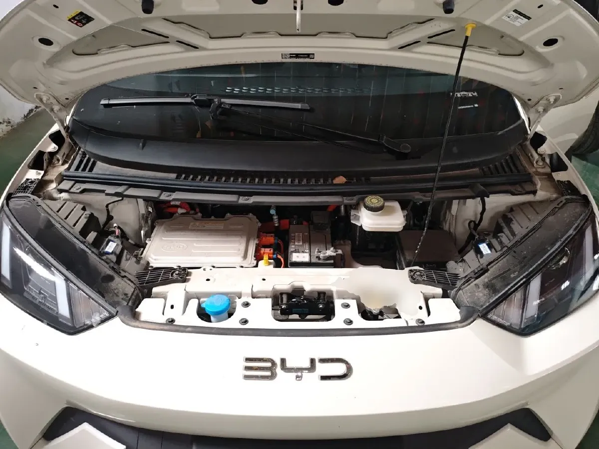 2025 BYD Seagull BEV 30.08KWH,autocango,china used car exporter,china ev exporter,chinese used car exporter,chinese used ev exporter