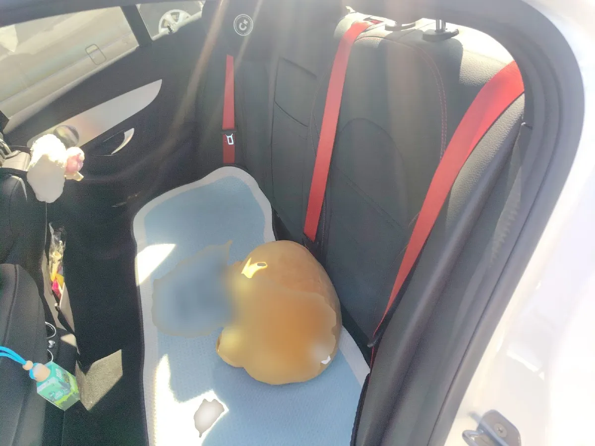 2019 Mercedes-Benz C AMG 3.0T 390HP V6 9AT,autocango,china used car exporter,china ev exporter,chinese used car exporter,chinese used ev exporter