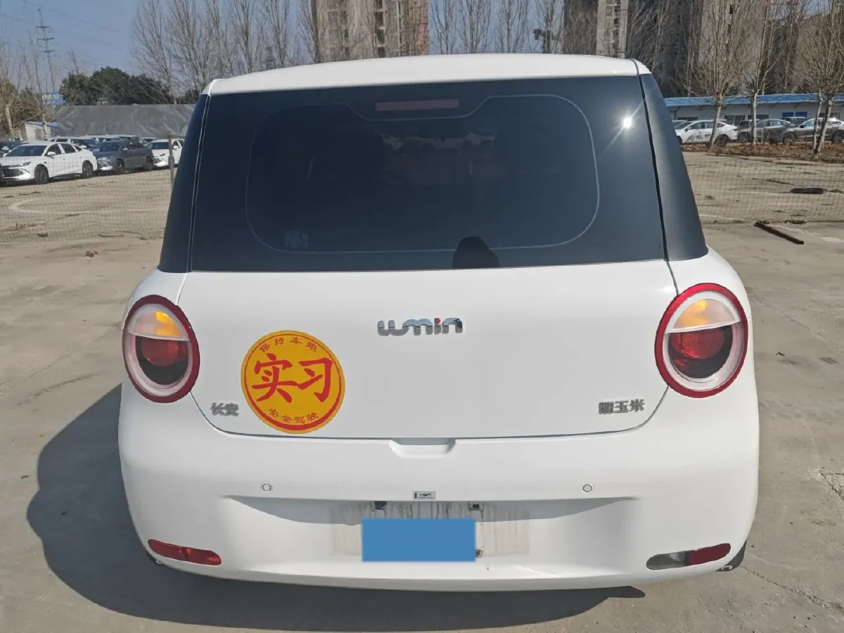 2023 ChangAn QiYuan Lumin BEV 17.65KWH,autocango,china used car exporter,china ev exporter,chinese used car exporter,chinese used ev exporter
