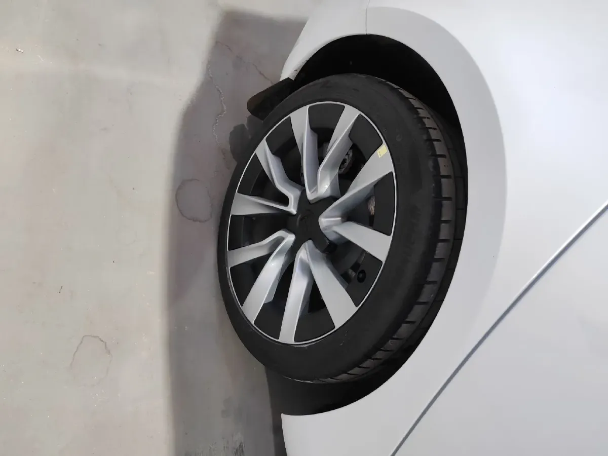 2025 Tesla Model 3 BEV 62.5KWH,autocango,china used car exporter,china ev exporter,chinese used car exporter,chinese used ev exporter