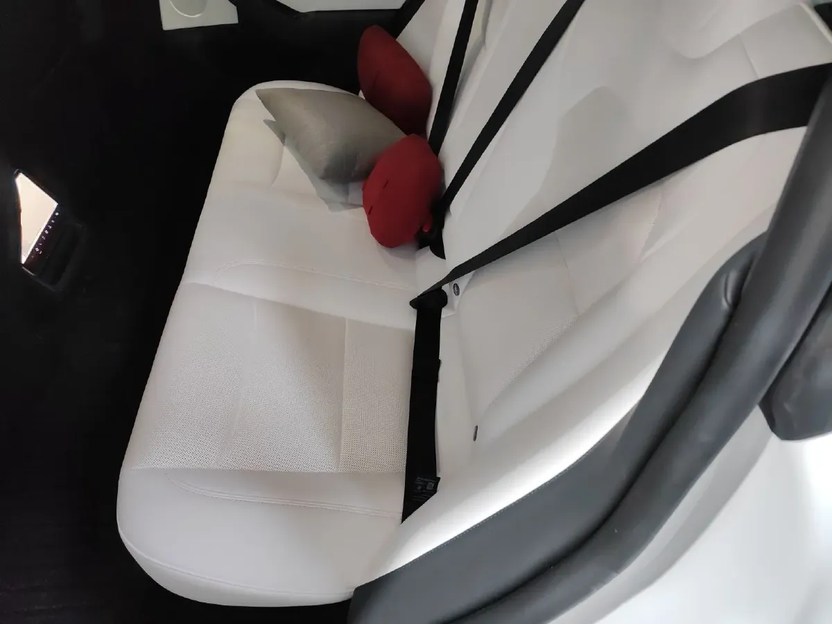 2025 Tesla Model 3 BEV 62.5KWH,autocango,china used car exporter,china ev exporter,chinese used car exporter,chinese used ev exporter