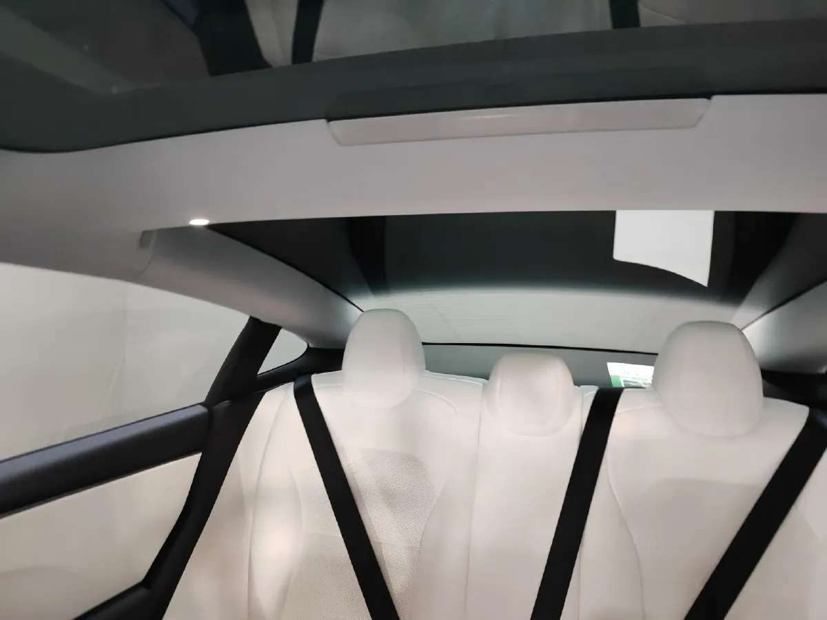 2025 Tesla Model 3 BEV 62.5KWH,autocango,china used car exporter,china ev exporter,chinese used car exporter,chinese used ev exporter