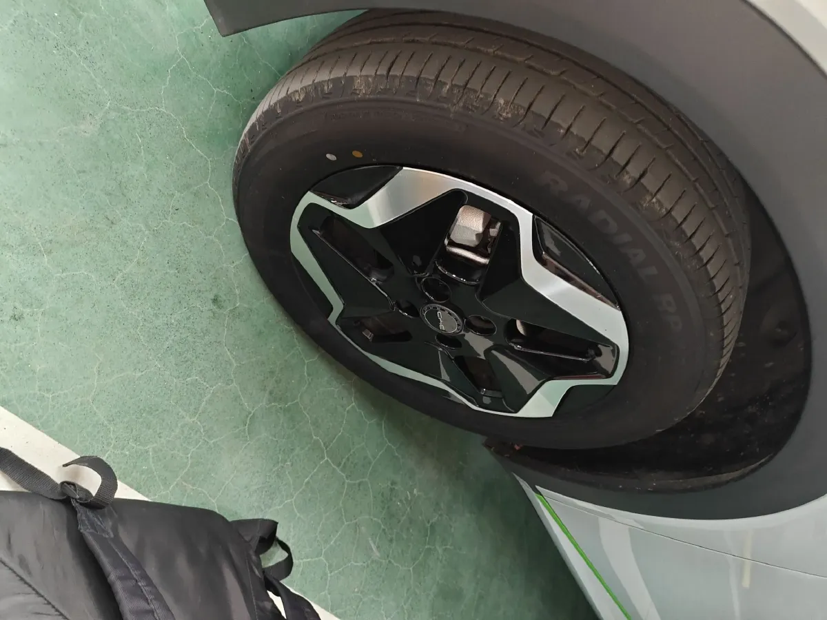 2021 BYD Dolphin BEV 44.9KWH,autocango,china used car exporter,china ev exporter,chinese used car exporter,chinese used ev exporter