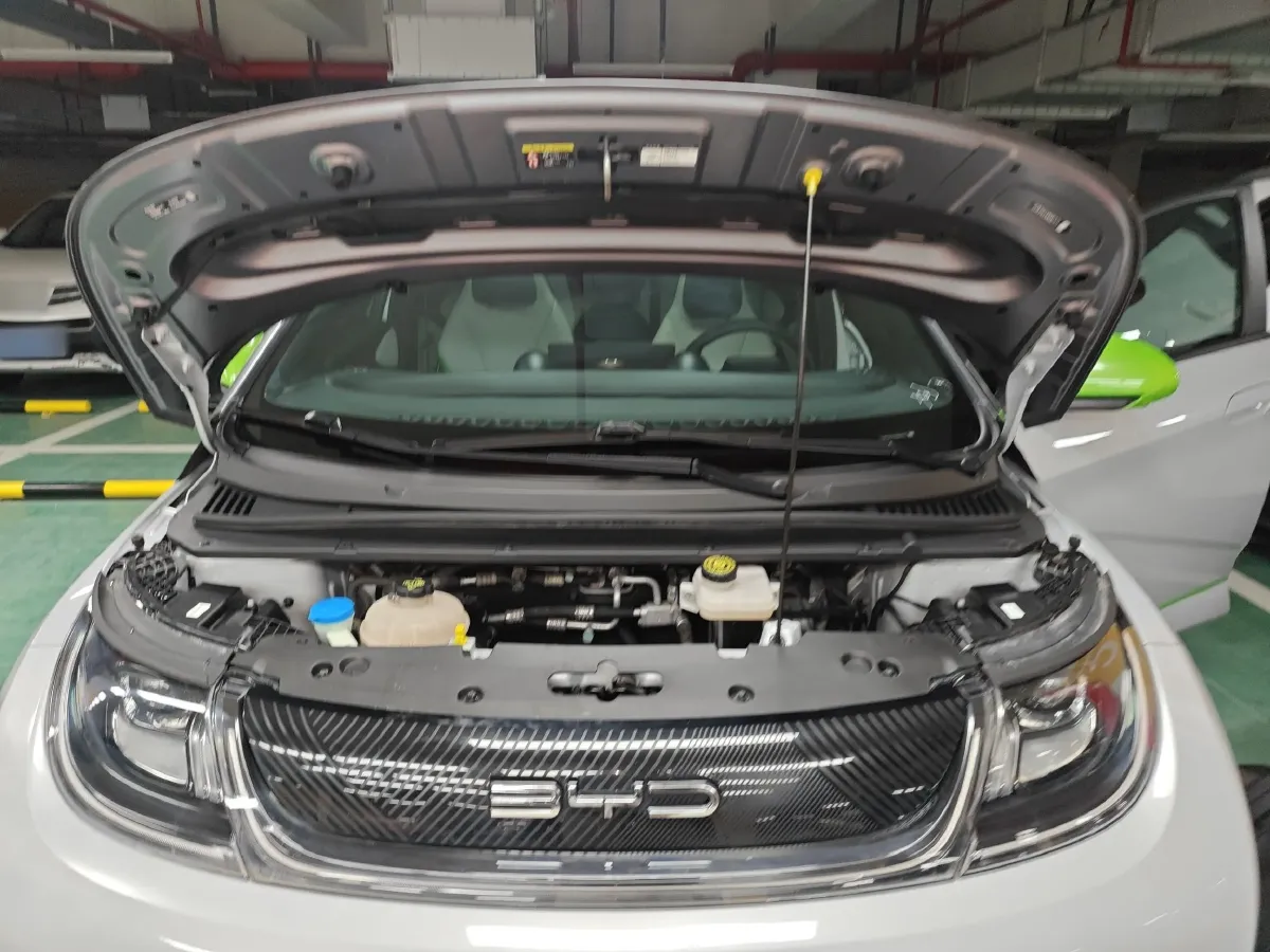 2021 BYD Dolphin BEV 44.9KWH,autocango,china used car exporter,china ev exporter,chinese used car exporter,chinese used ev exporter