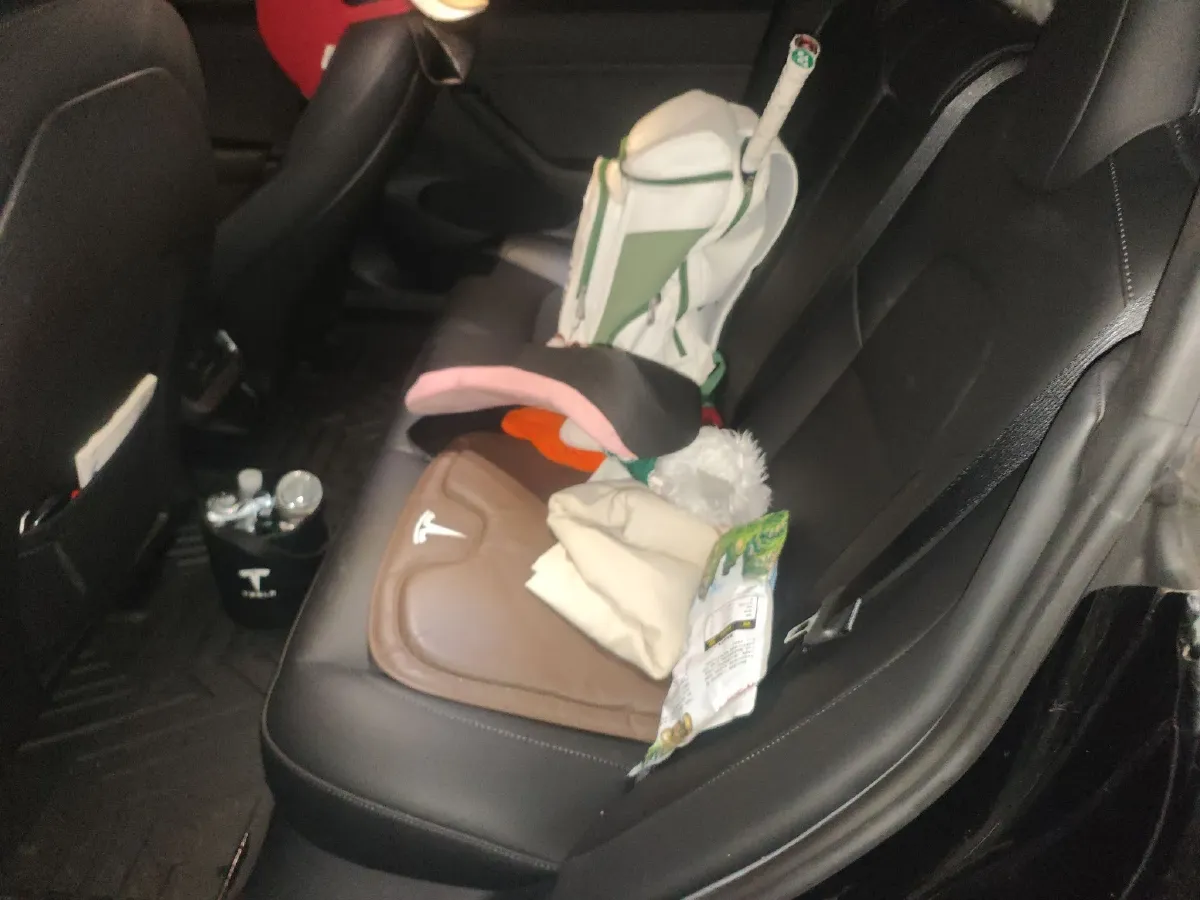 2022 Tesla Model 3 BEV 60KWH,autocango,china used car exporter,china ev exporter,chinese used car exporter,chinese used ev exporter