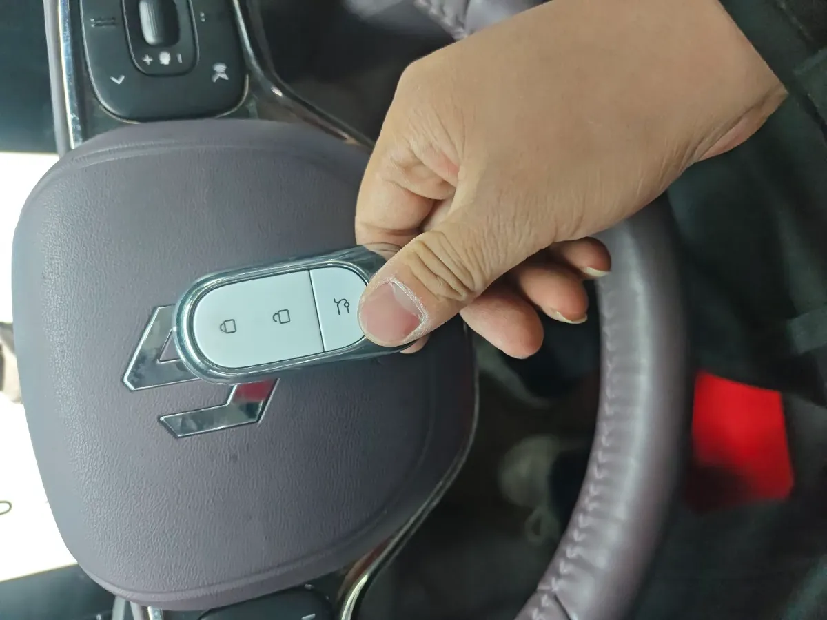 2024 Leapmotor C11 BEV 78.5KWH,autocango,china used car exporter,china ev exporter,chinese used car exporter,chinese used ev exporter