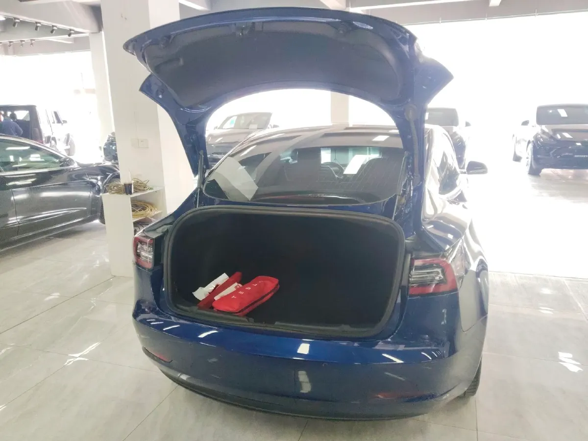 2019 Tesla Model 3 BEV 52KWH,autocango,china used car exporter,china ev exporter,chinese used car exporter,chinese used ev exporter