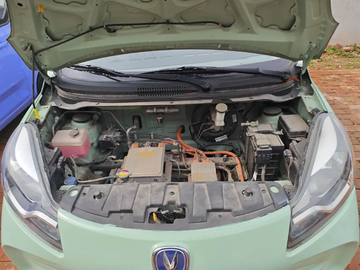 2021 ChangAn BenBen E-Star BEV 31.95KWH,autocango,china used car exporter,china ev exporter,chinese used car exporter,chinese used ev exporter