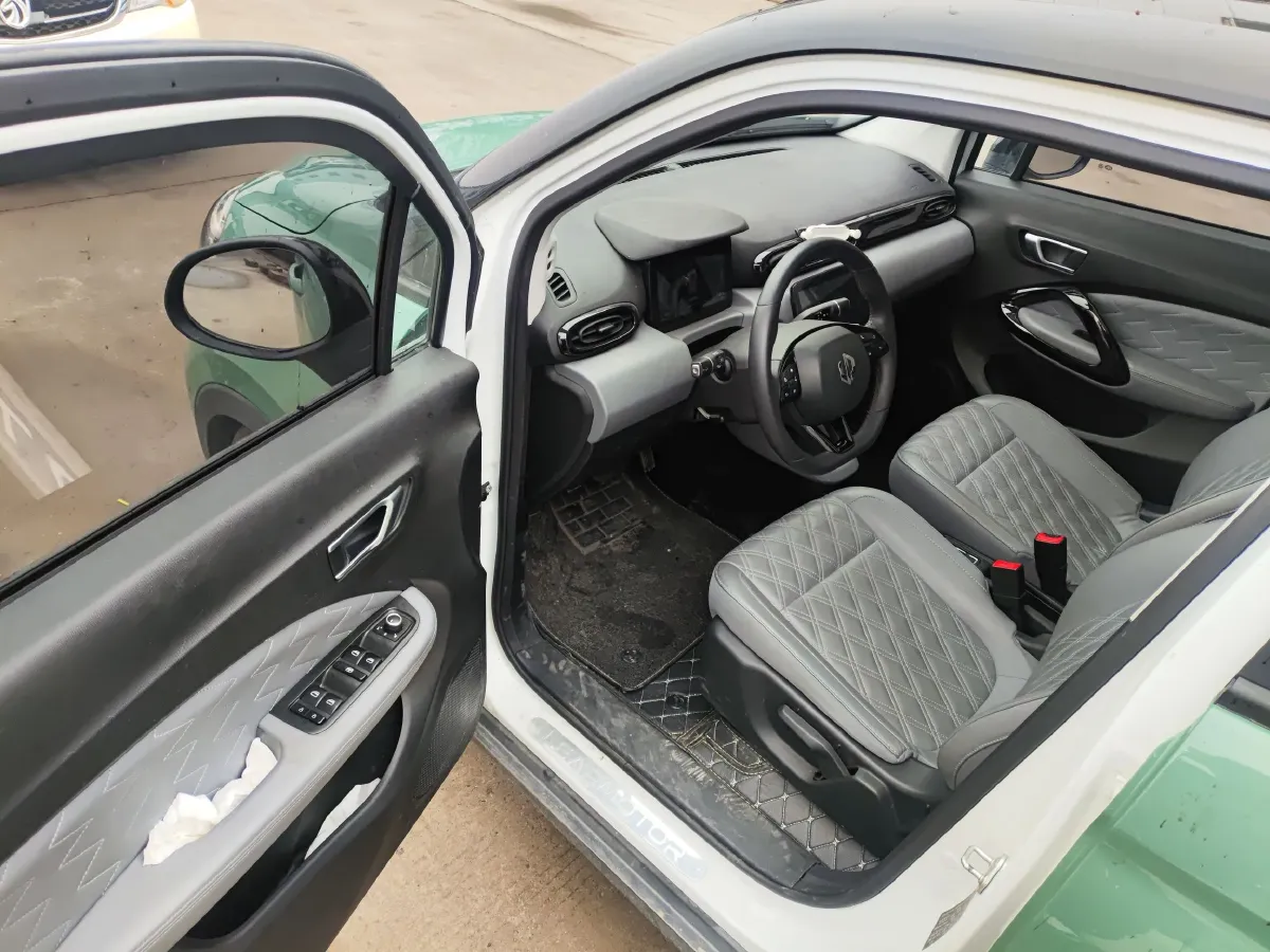 2021 Leapmotor T03 BEV 38KWH,autocango,china used car exporter,china ev exporter,chinese used car exporter,chinese used ev exporter