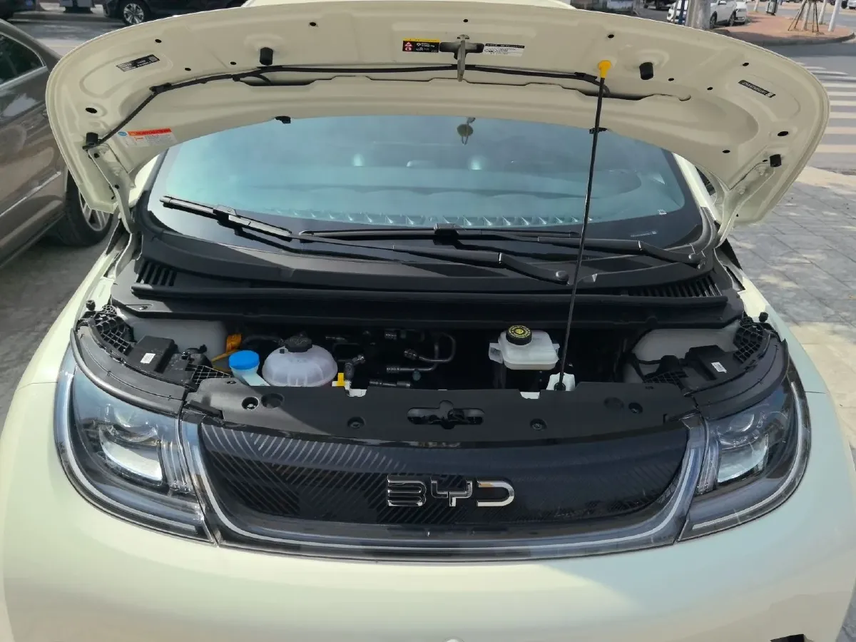 2024 BYD Dolphin BEV 44.928KWH,autocango,china used car exporter,china ev exporter,chinese used car exporter,chinese used ev exporter