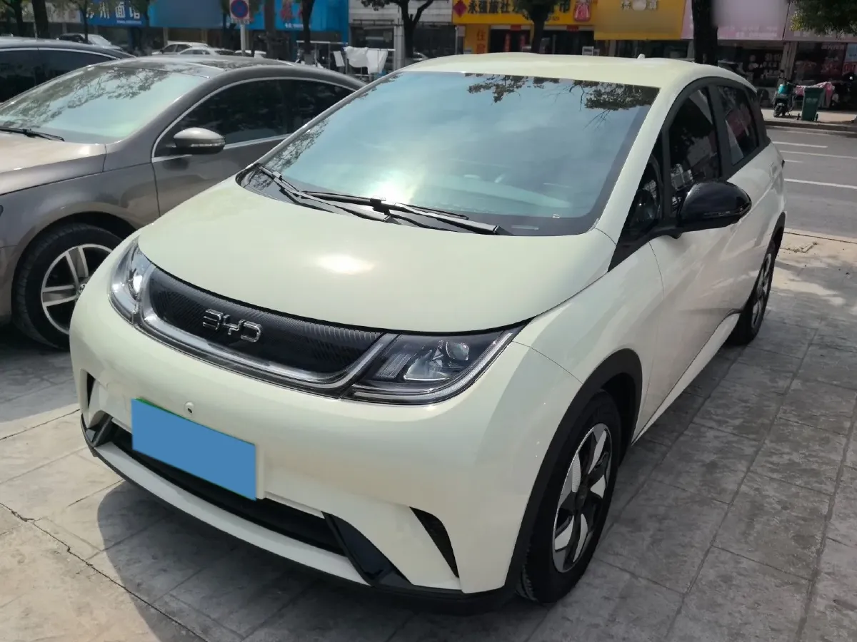 2024 BYD Dolphin BEV 44.928KWH,autocango,china used car exporter,china ev exporter,chinese used car exporter,chinese used ev exporter