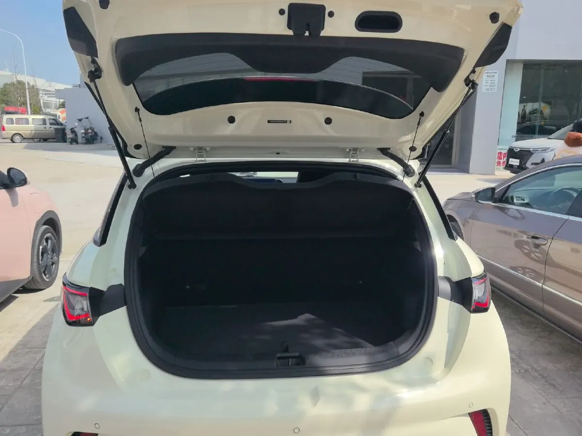 2024 BYD Dolphin BEV 44.928KWH,autocango,china used car exporter,china ev exporter,chinese used car exporter,chinese used ev exporter