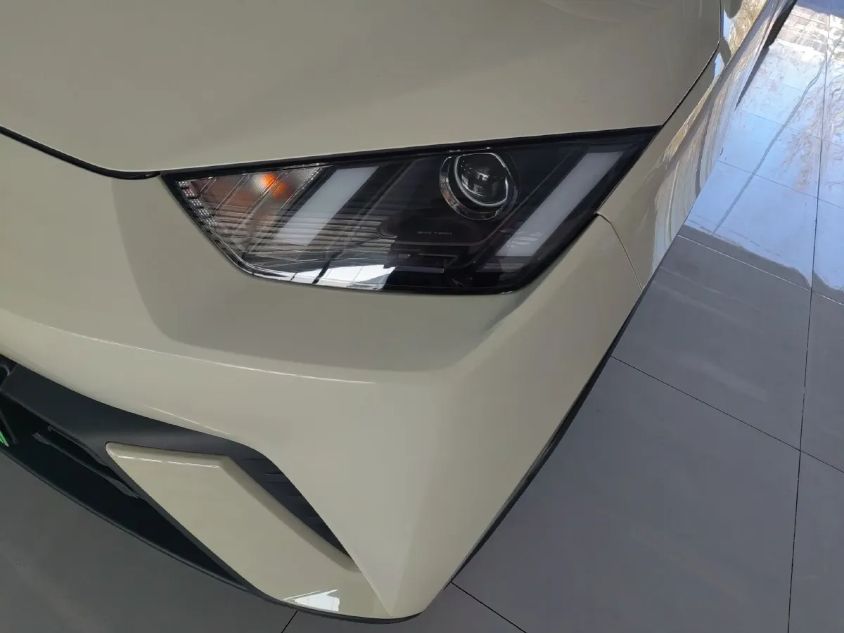 2023 BYD Seagull BEV 30.08KWH,autocango,china used car exporter,china ev exporter,chinese used car exporter,chinese used ev exporter