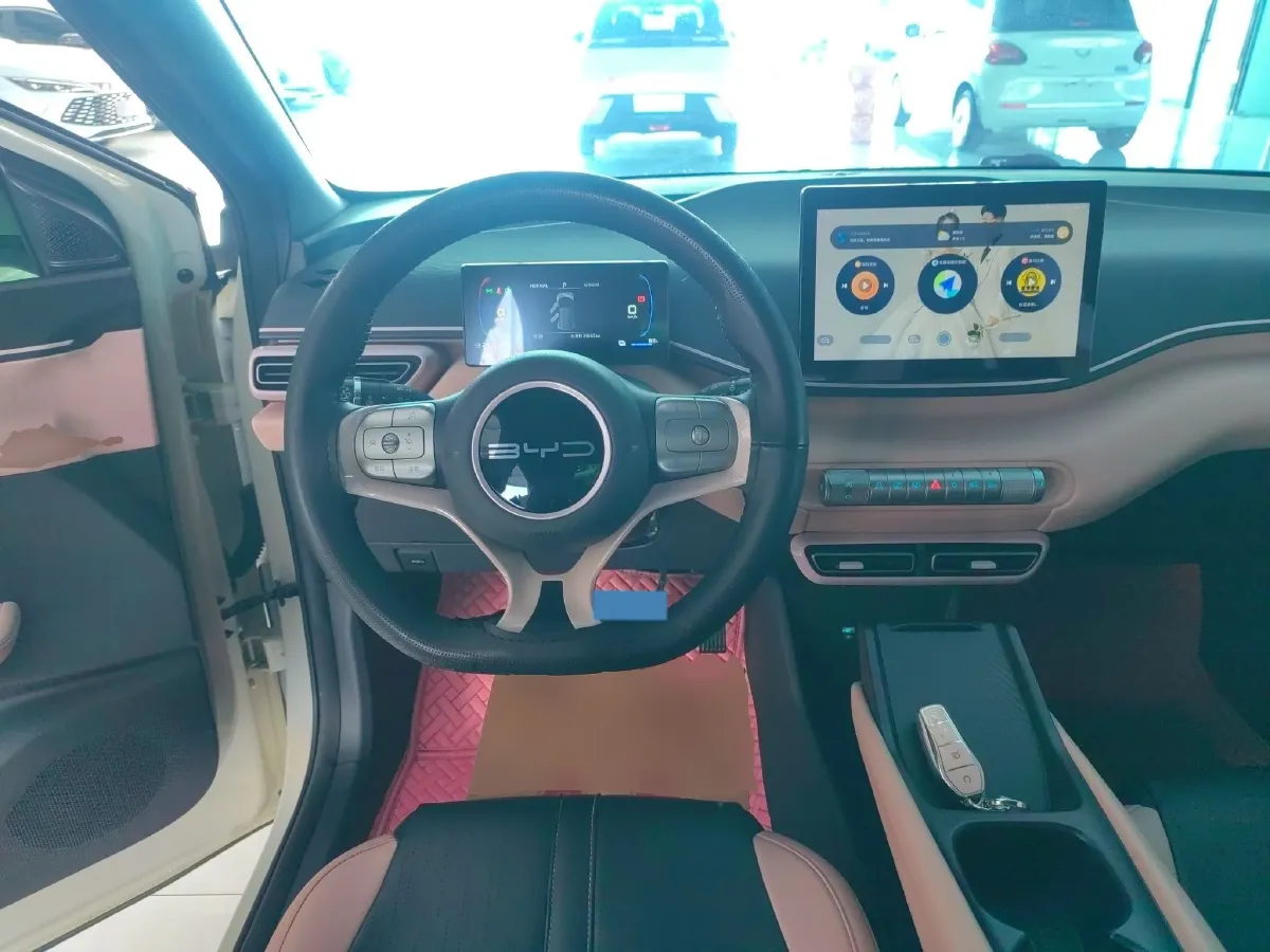 2023 BYD Seagull BEV 30.08KWH,autocango,china used car exporter,china ev exporter,chinese used car exporter,chinese used ev exporter