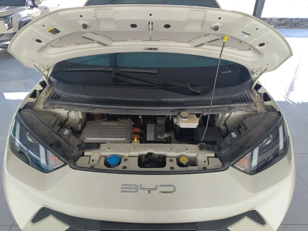 2023 BYD Seagull BEV 30.08KWH,autocango,china used car exporter,china ev exporter,chinese used car exporter,chinese used ev exporter