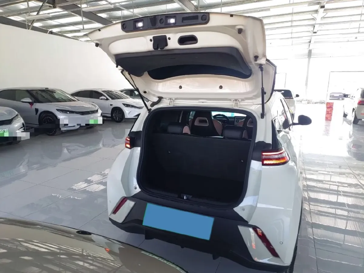 2023 BYD Seagull BEV 30.08KWH,autocango,china used car exporter,china ev exporter,chinese used car exporter,chinese used ev exporter