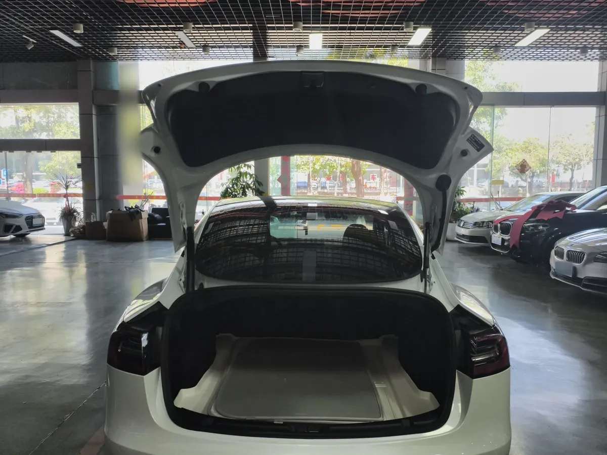 2022 Tesla Model 3 BEV 60KWH,autocango,china used car exporter,china ev exporter,chinese used car exporter,chinese used ev exporter
