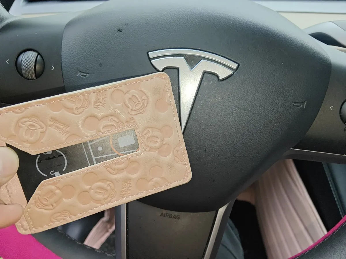 2022 Tesla Model Y BEV 60KWH,autocango,china used car exporter,china ev exporter,chinese used car exporter,chinese used ev exporter