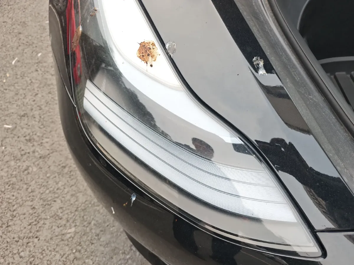 2022 Tesla Model 3 BEV 78.4KWH,autocango,china used car exporter,china ev exporter,chinese used car exporter,chinese used ev exporter