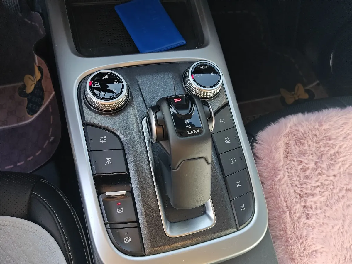 2024 Tank 300 2.0T 227HP L4 8AT,autocango,china used car exporter,china ev exporter,chinese used car exporter,chinese used ev exporter