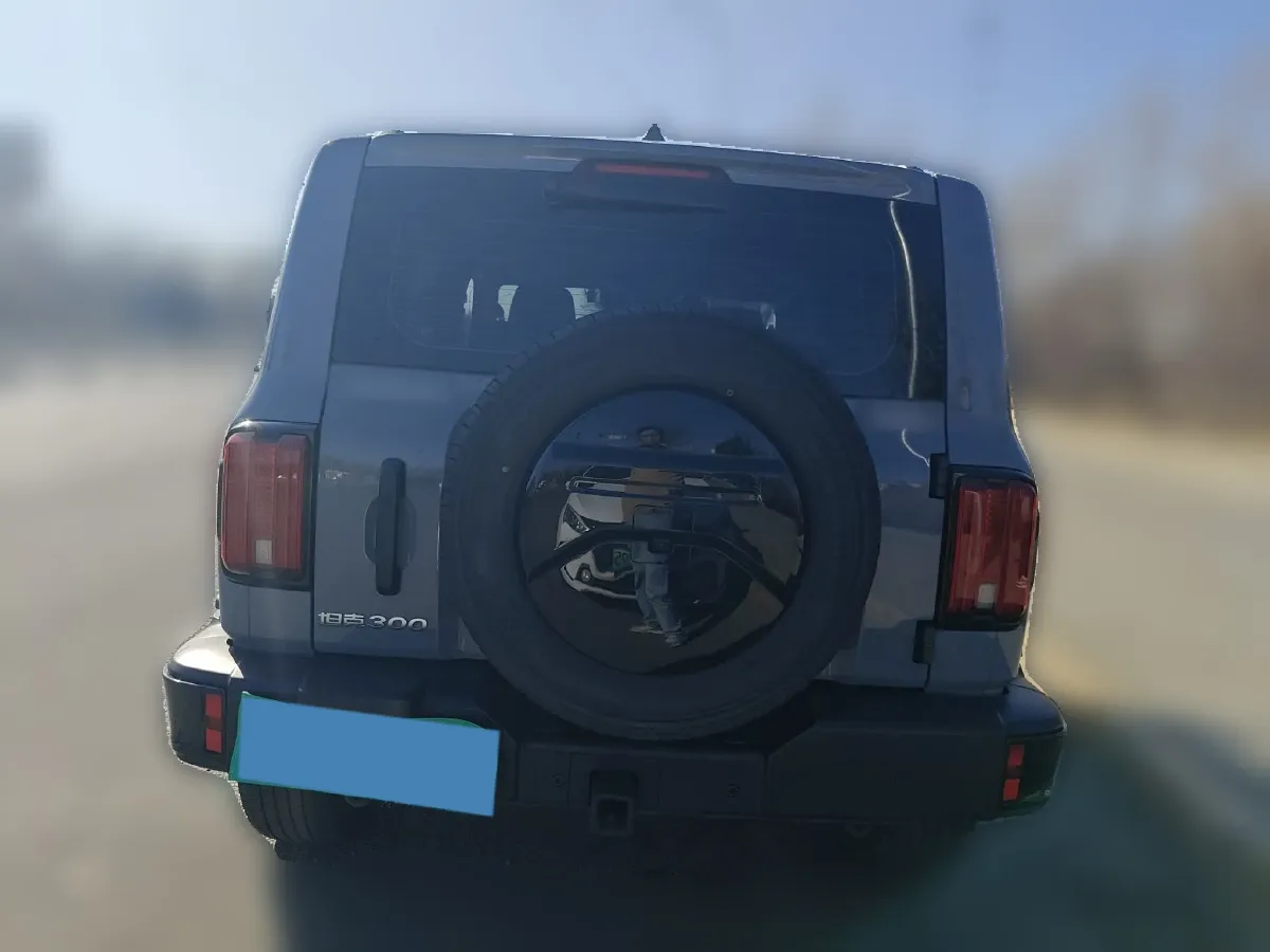 2024 Tank 300 2.0T 227HP L4 8AT,autocango,china used car exporter,china ev exporter,chinese used car exporter,chinese used ev exporter