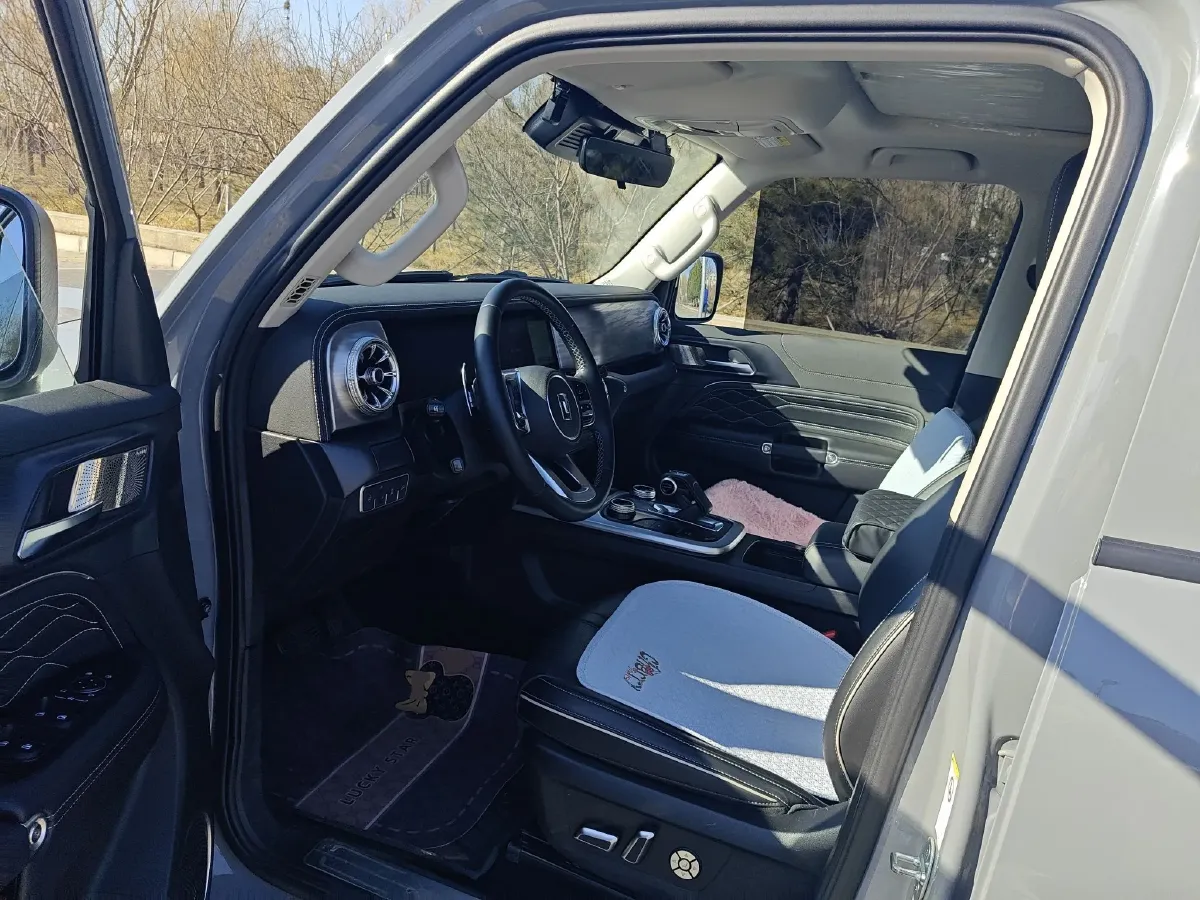 2024 Tank 300 2.0T 227HP L4 8AT,autocango,china used car exporter,china ev exporter,chinese used car exporter,chinese used ev exporter