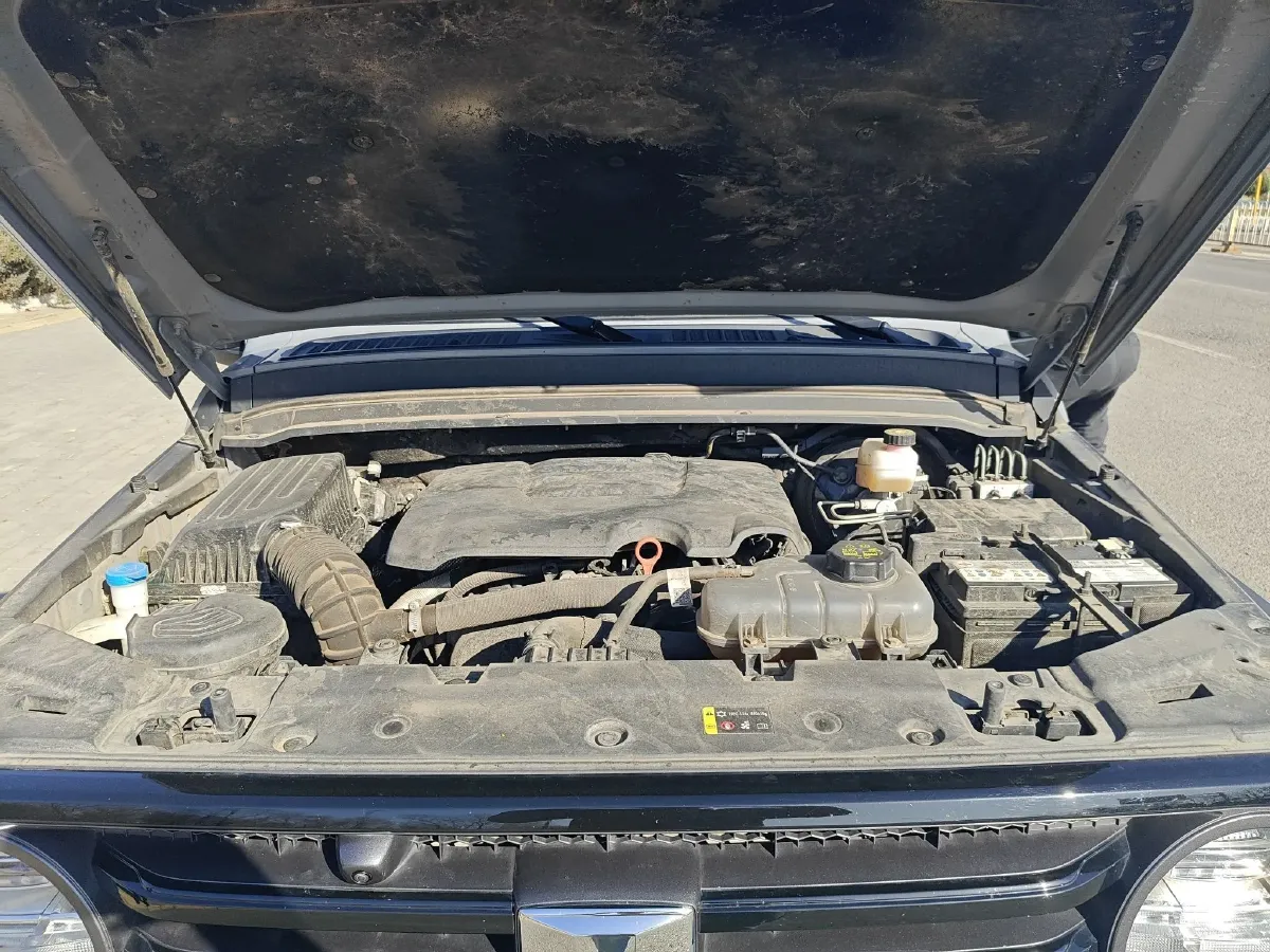 2024 Tank 300 2.0T 227HP L4 8AT,autocango,china used car exporter,china ev exporter,chinese used car exporter,chinese used ev exporter