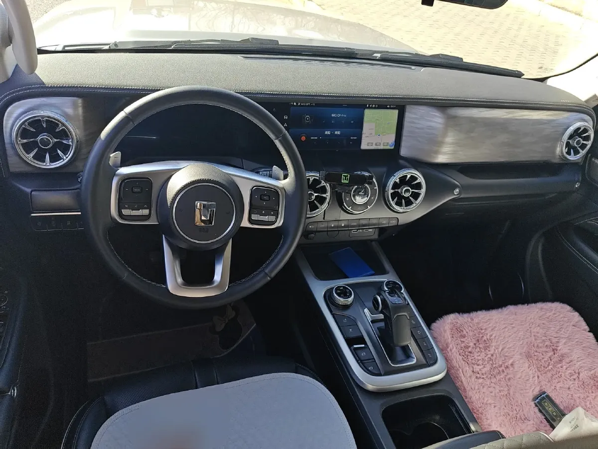 2024 Tank 300 2.0T 227HP L4 8AT,autocango,china used car exporter,china ev exporter,chinese used car exporter,chinese used ev exporter